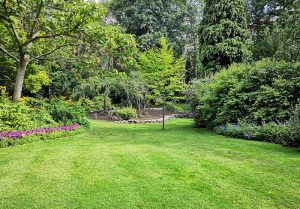 Optimiser l'expérience du jardin à Prefontaines